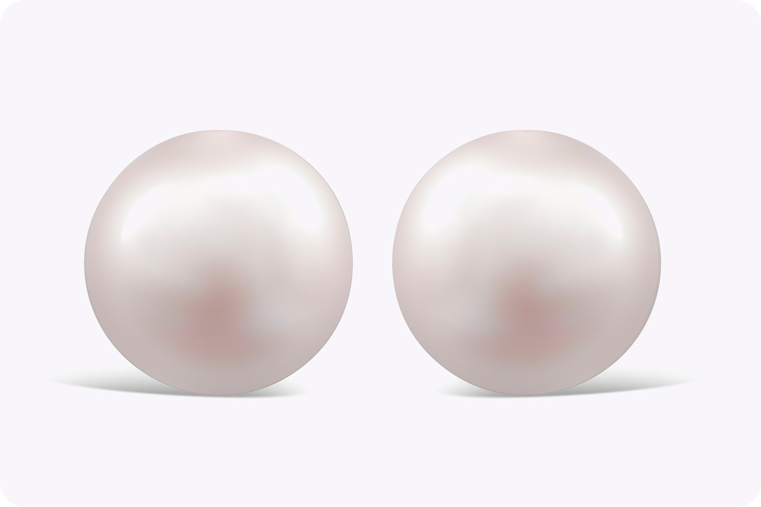 6.50 Millimeter White Pearl Stud Earrings in White Gold