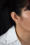 6.50 Millimeter White Pearl Stud Earrings in White Gold
