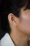 6.50 Millimeter White Pearl Stud Earrings in White Gold