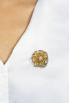 Antique 18 Karat Yellow Gold with Cluster of Old European Cut Diamond Brooch