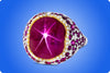 AGL Certified 11.28 Carats Cabochon Star Ruby and Diamond Cocktail Ring in White and Yellow Gold